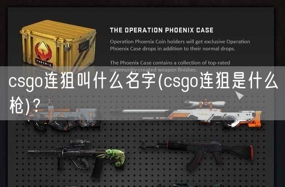 csgo连狙叫什么名字(csgo连狙是什么枪)？