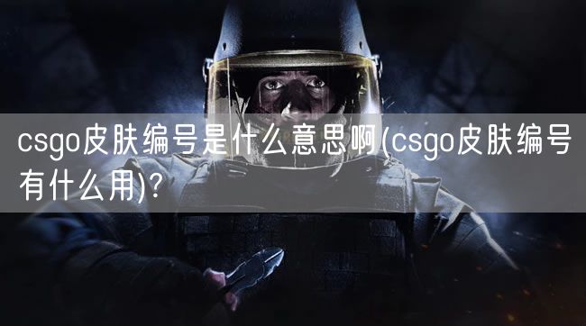 csgo皮肤编号是什么意思啊(csgo皮肤编号有什么用)?