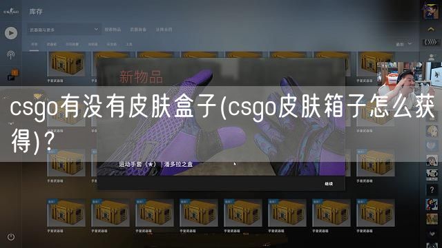 csgo有没有皮肤盒子(csgo皮肤箱子怎么获得)？