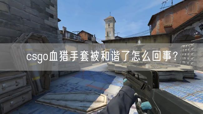 csgo血猎手套被和谐了怎么回事？