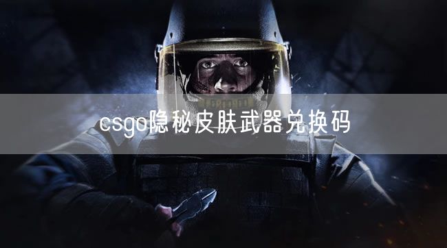 csgo隐秘皮肤武器兑换码