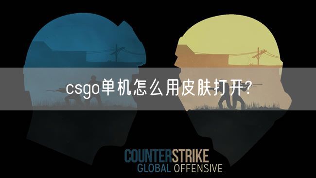 csgo单机怎么用皮肤打开?