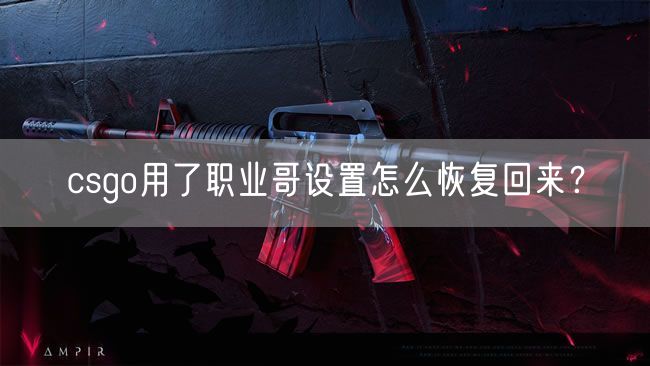 csgo用了职业哥设置怎么恢复回来？