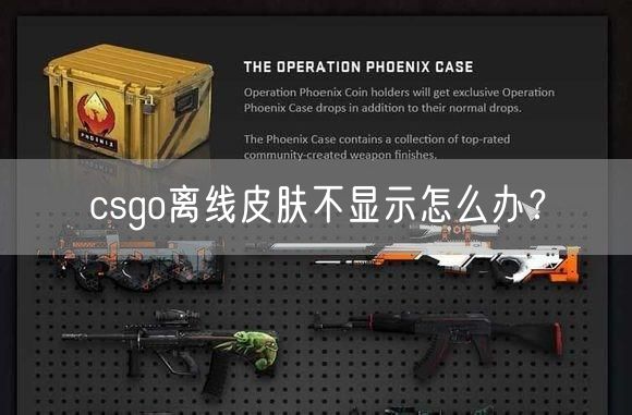 csgo离线皮肤不显示怎么办？