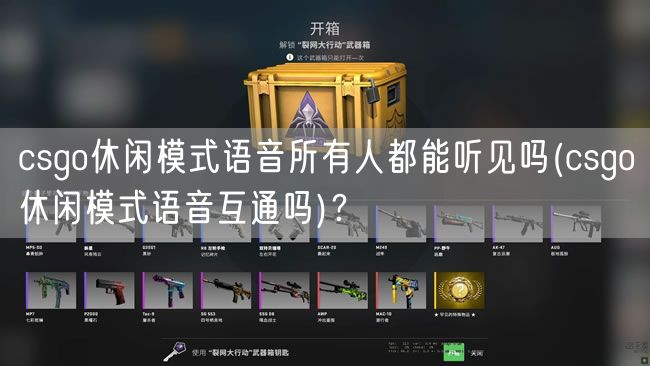 csgo休闲模式语音所有人都能听见吗(csgo休闲模式语音互通吗)？