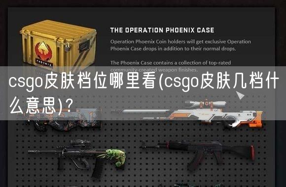 csgo皮肤档位哪里看(csgo皮肤几档什么意思)？