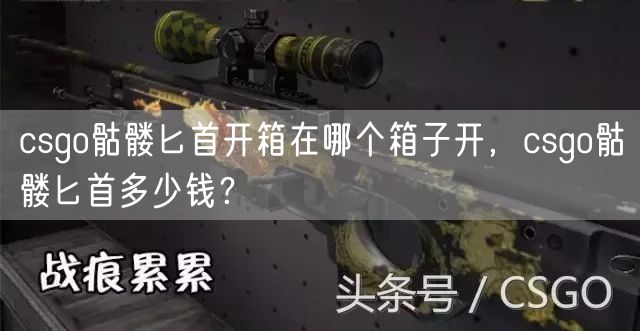 csgo骷髅匕首开箱在哪个箱子开，csgo骷髅匕首多少钱？