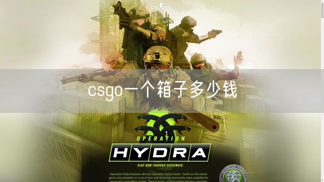 csgo一个箱子多少钱