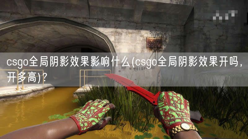 csgo全局阴影效果影响什么(csgo全局阴影效果开吗，开多高)？