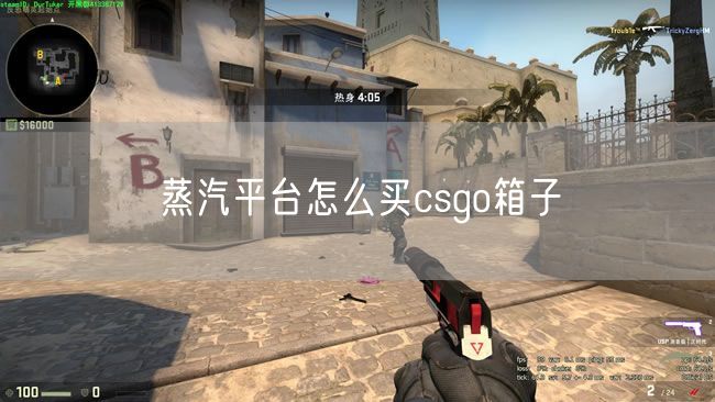 蒸汽平台怎么买csgo箱子