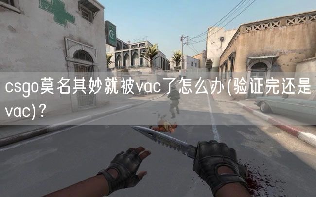 csgo莫名其妙就被vac了怎么办(验证完还是vac)？