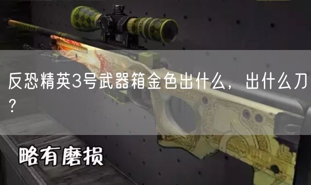 反恐精英3号武器箱金色出什么，出什么刀？