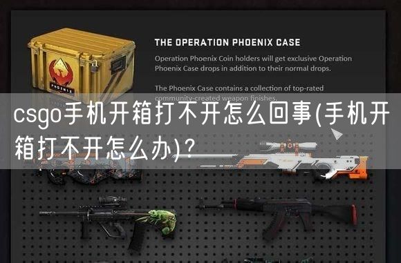  csgo手机开箱打不开怎么回事(手机开箱打不开怎么办)？