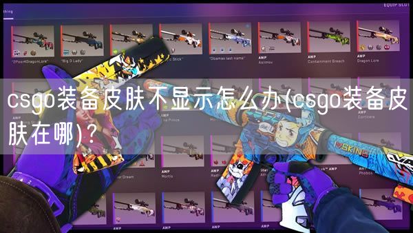 csgo装备皮肤不显示怎么办(csgo装备皮肤在哪)？