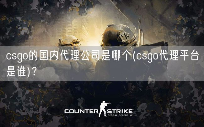 csgo的国内代理公司是哪个(csgo代理平台是谁)？