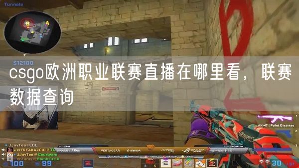 csgo欧洲职业联赛直播在哪里看，联赛数据查询