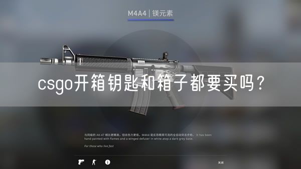 csgo开箱钥匙和箱子都要买吗？