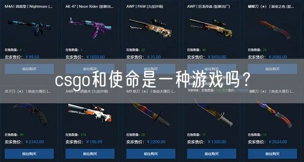 csgo和使命是一种游戏吗？