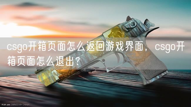 csgo开箱页面怎么返回游戏界面，csgo开箱页面怎么退出？