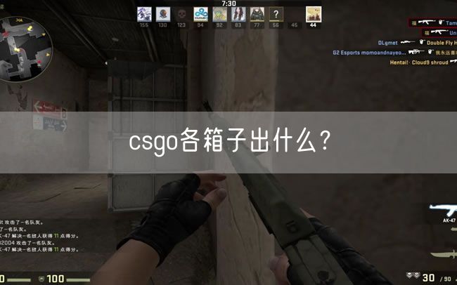 csgo各箱子出什么？