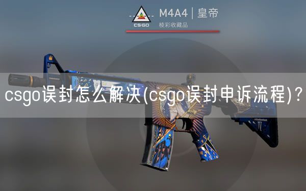 csgo误封怎么解决(csgo误封申诉流程)？