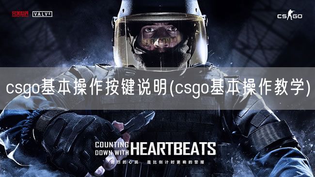 csgo基本操作按键说明(csgo基本操作教学)