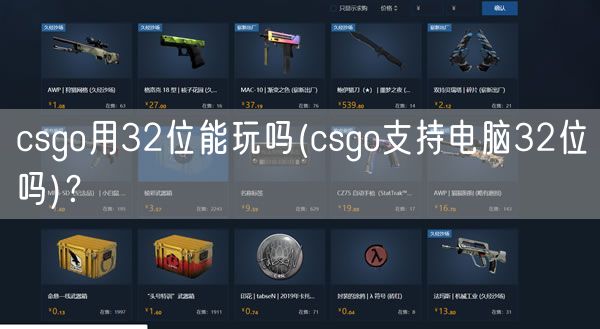 csgo用32位能玩吗(csgo支持电脑32位吗)？