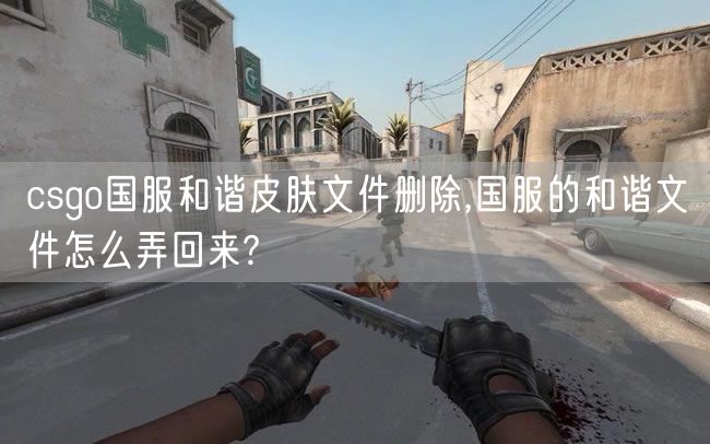 csgo国服和谐皮肤文件删除,国服的和谐文件怎么弄回来?