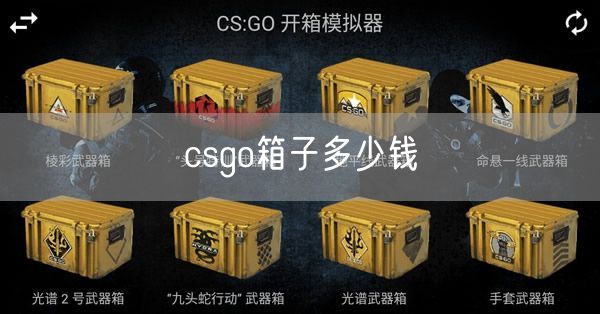 csgo箱子多少钱