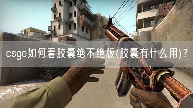 csgo如何看胶囊绝不绝版(胶囊有什么用)？