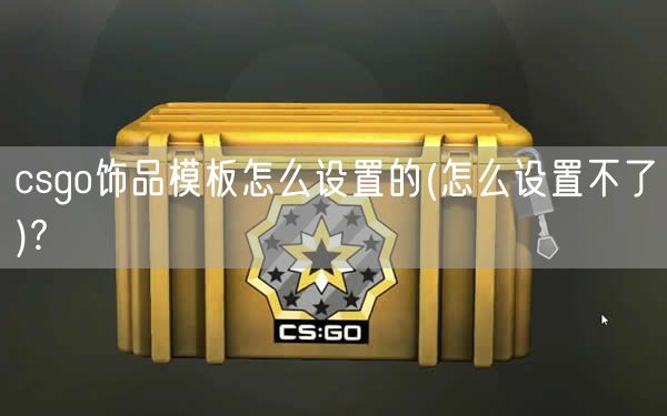 csgo饰品模板怎么设置的(怎么设置不了)?