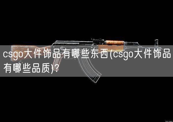 csgo大件饰品有哪些东西(csgo大件饰品有哪些品质)?