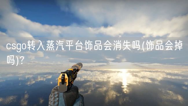 csgo转入蒸汽平台饰品会消失吗(饰品会掉吗)?