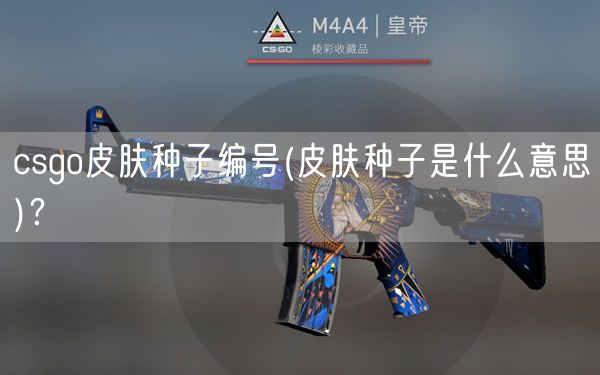 csgo皮肤种子编号(皮肤种子是什么意思)？