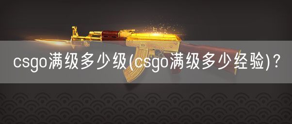 csgo满级多少级(csgo满级多少经验)？