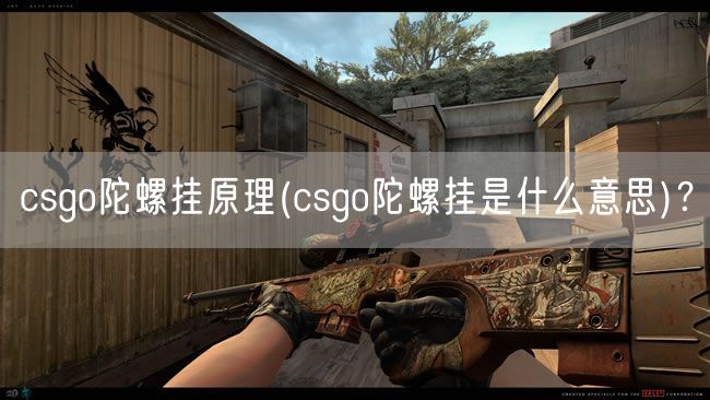 csgo陀螺挂原理(csgo陀螺挂是什么意思)？