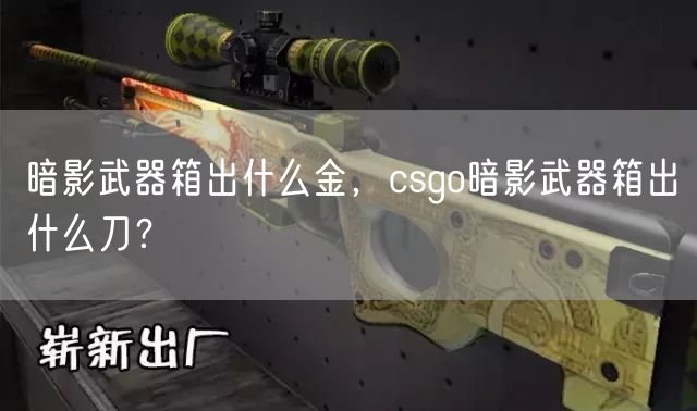 暗影武器箱出什么金，csgo暗影武器箱出什么刀？