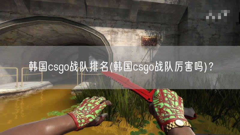 韩国csgo战队排名(韩国csgo战队厉害吗)？