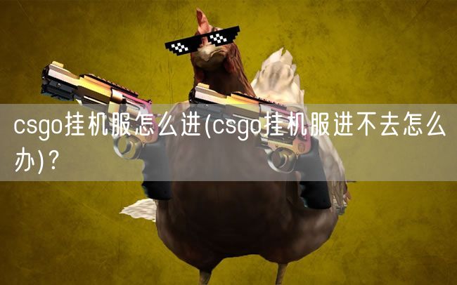 csgo挂机服怎么进(csgo挂机服进不去怎么办)？