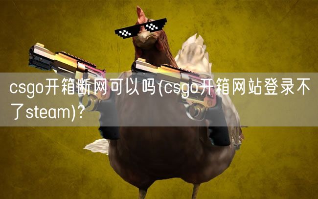 csgo开箱断网可以吗(csgo开箱网站登录不了steam)?