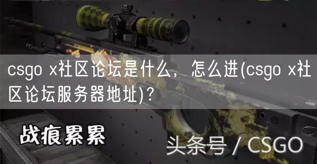 csgo x社区论坛是什么，怎么进(csgo x社区论坛服务器地址)？