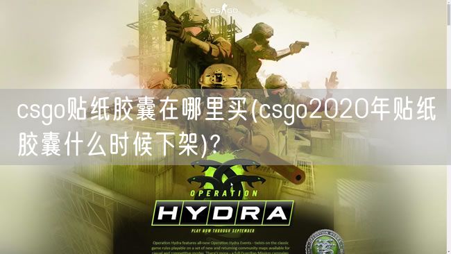 csgo贴纸胶囊在哪里买(csgo2020年贴纸胶囊什么时候下架)?