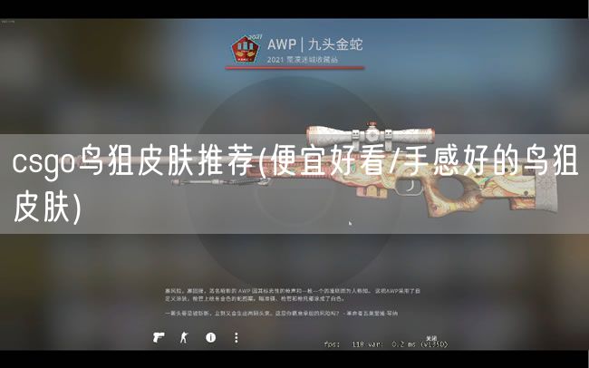 csgo鸟狙皮肤推荐(便宜好看/手感好的鸟狙皮肤)