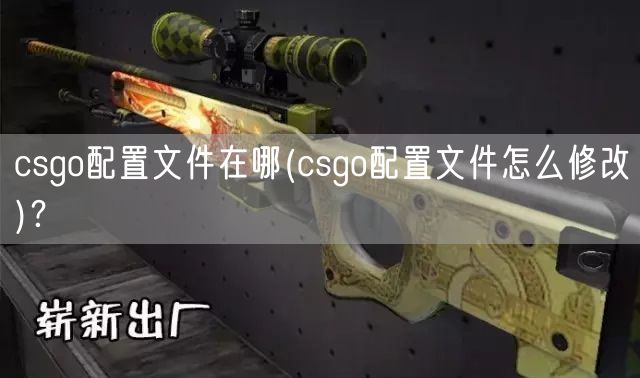 csgo配置文件在哪(csgo配置文件怎么修改)？