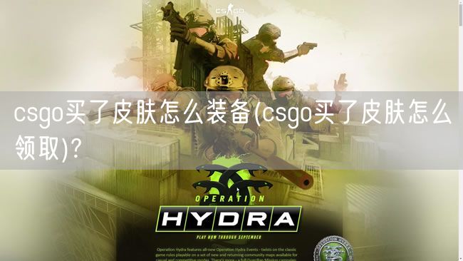 csgo买了皮肤怎么装备(csgo买了皮肤怎么领取)?