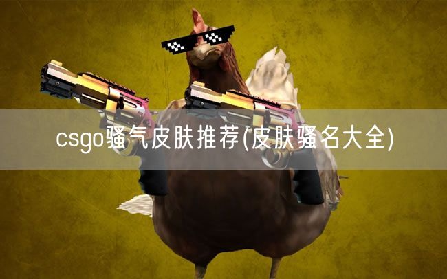 csgo骚气皮肤推荐(皮肤骚名大全)