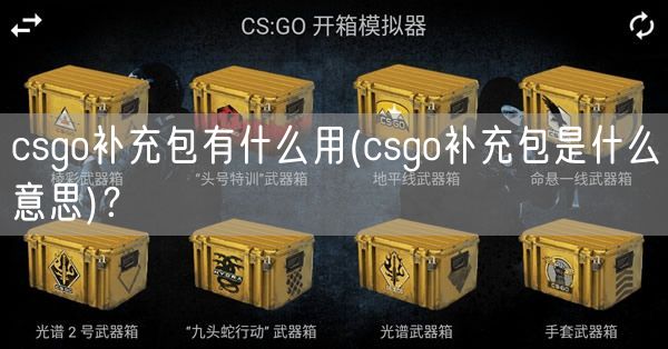 csgo补充包有什么用(csgo补充包是什么意思)？