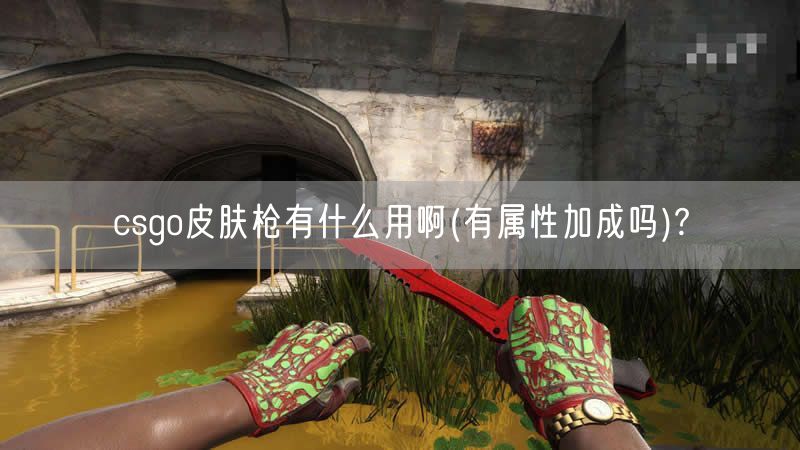 csgo皮肤枪有什么用啊(有属性加成吗)?