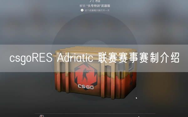 csgoRES Adriatic 联赛赛事赛制介绍