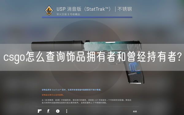 csgo怎么查询饰品拥有者和曾经持有者?